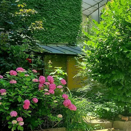 Hugo Old Town Beograd