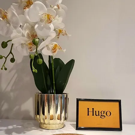Apartment Hugo Old Town